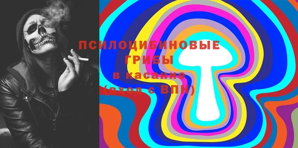 бошки Армянск